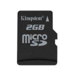 Kingston MicroSD 2Gb